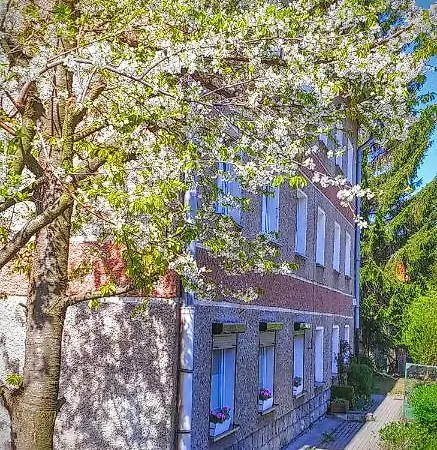 Apartament Sjesta Park Apartment *